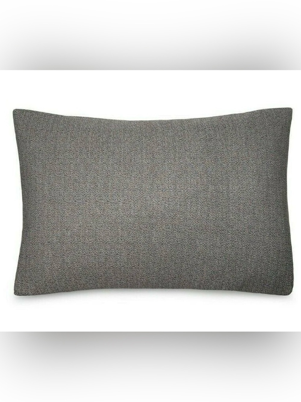 NWT Calvin Klein Modern Cotton Ray Bedding Sham KING Set of 2 Black Cream